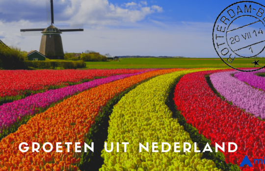 Launch NL cover(2)-min